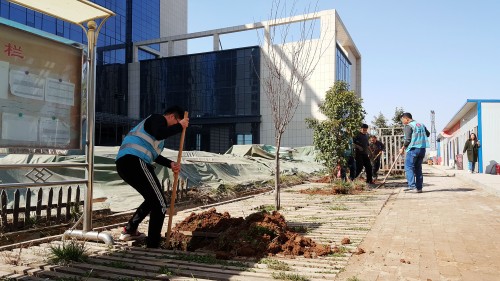 陜煤建設(shè)澄合分公司基層單位開展“植樹護綠，美麗家園”義務(wù)植樹活動