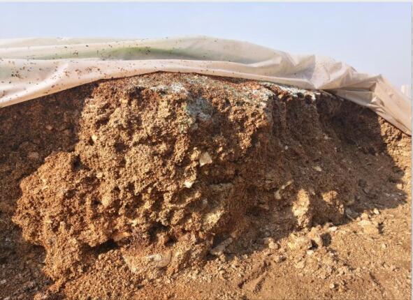 “廢料”變“肥料”，蘑菇包在土壤改良中的應(yīng)用