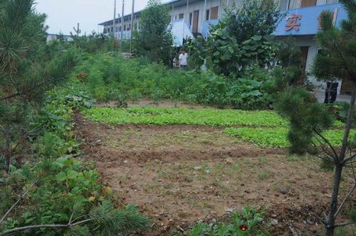 陜煤建設(shè)掘進(jìn)公司：北翼項(xiàng)目部“綠色農(nóng)場”開張啦