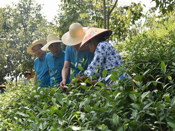 陜煤建設煤礦運營服務分公司：全方位提升職工幸福指數(shù)