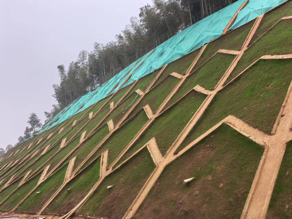 陜煤建設西北分公司：邊坡披綠衣，防護顯匠心