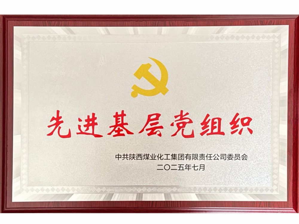 黨建領(lǐng)航結(jié)碩果 實干擔(dān)當(dāng)譜新篇