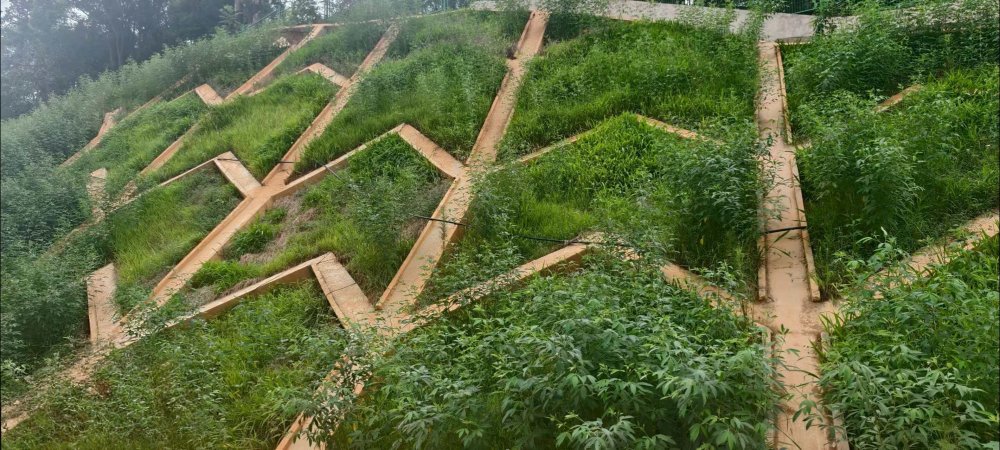 陜煤建設(shè)西北分公司：長安益陽發(fā)電有限公司2×100萬千瓦擴(kuò)能升級改造項(xiàng)目 高邊坡支護(hù)工程順利通過竣工驗(yàn)收