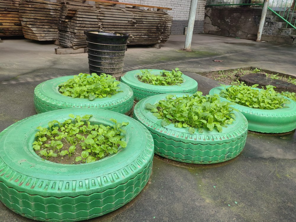 創意無休，廢舊輪胎也能C位出道