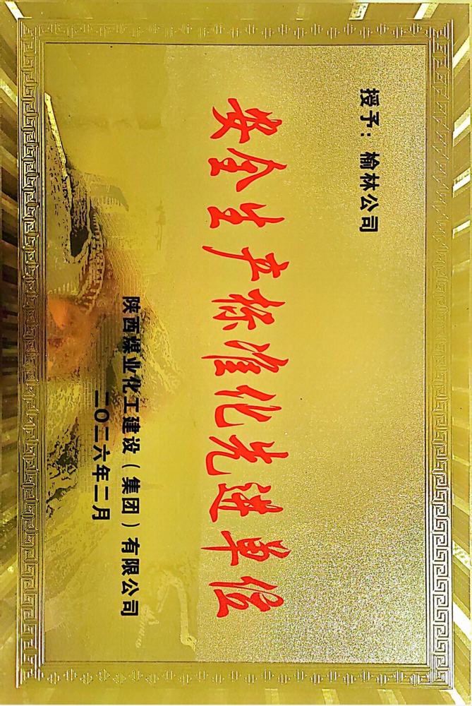 喜獲殊榮樹(shù)標(biāo)桿  安全護(hù)航促發(fā)展