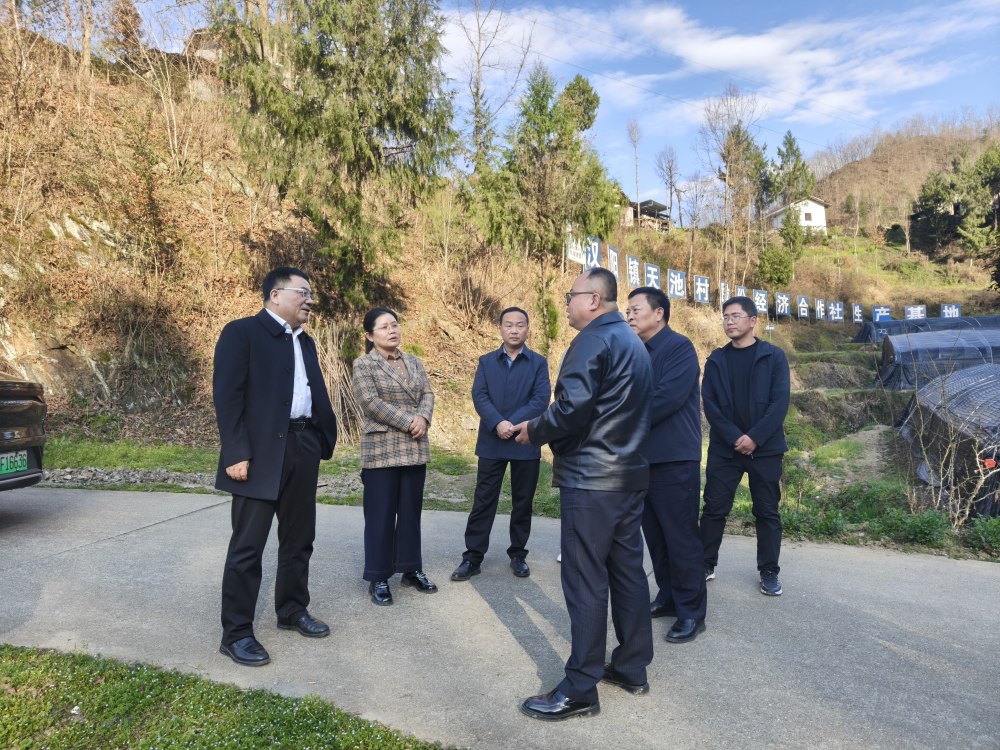 王明智深入定點幫扶村指導鄉(xiāng)村振興工作