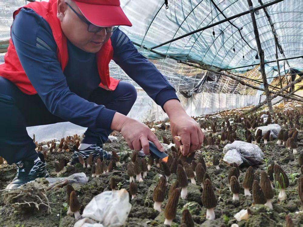 陜煤建設(shè)煤礦運(yùn)營服務(wù)分公司：駐村干部顯擔(dān)當(dāng) 宣傳賦能促振興