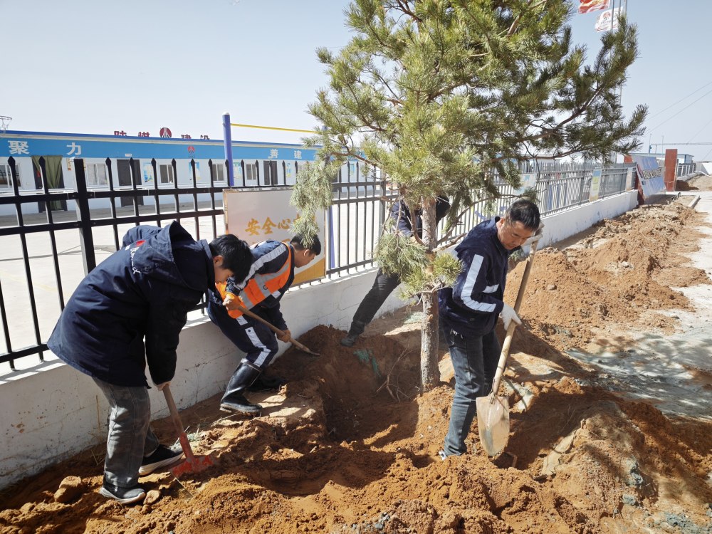 陜煤建設(shè)礦建三公司:植綠潤人心 聚力促實(shí)干